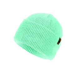 P.A.C. PAC Dalera Beanie - Mint